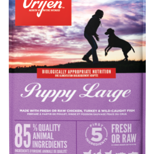 Orijen Puppy large